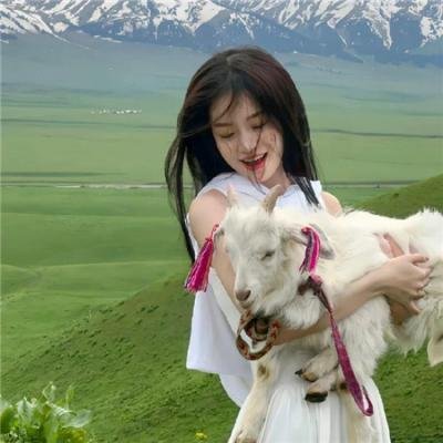 我下载了一只鬼